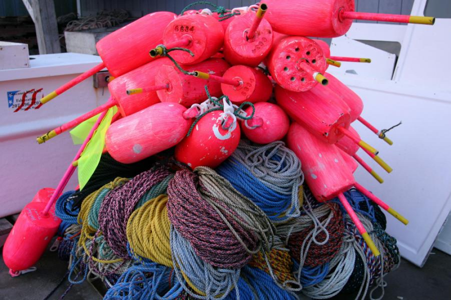 Marine Equipment Supply